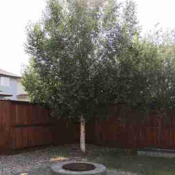 Spacious 4BR-4BA House for Large Families & Group in Stonebridge Hotel Exterior