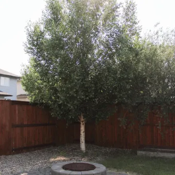 Spacious 4BR-4BA House for Large Families & Group in Stonebridge