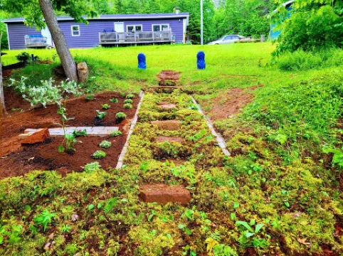 Miracles on Polly - Enchanted River Retreat