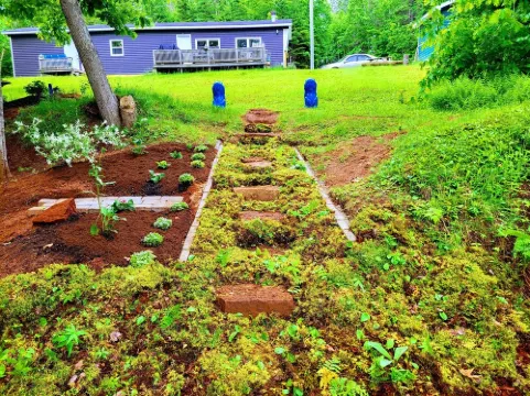 Miracles on Polly - Enchanted River Retreat