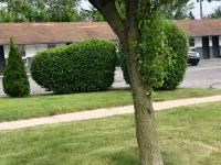 Moonlight Motel Hotels in Allen Park