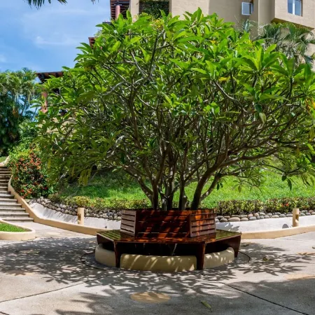 Luxury And Peaceful Little Condo With Direct Access To The Beach
