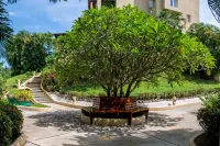 Luxury And Peaceful Little Condo With Direct Access To The Beach