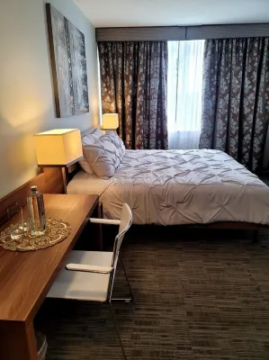 4 Room Luxury Wellness Spa Suite.  Free Sauna & Steam Room.  Offers Spa Services