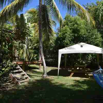 KAZATIPUNCH - CHARMING BUNGALOW IN TROPICAL GARDEN Hotel Exterior