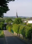 Living comfortably in Oberwalluf, enjoying the Rheingau, experiencing the Rhine - Main!