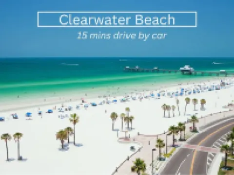 Walk to dwnt/7min to beach/king bed/Free parking Hotels in New Port Richey