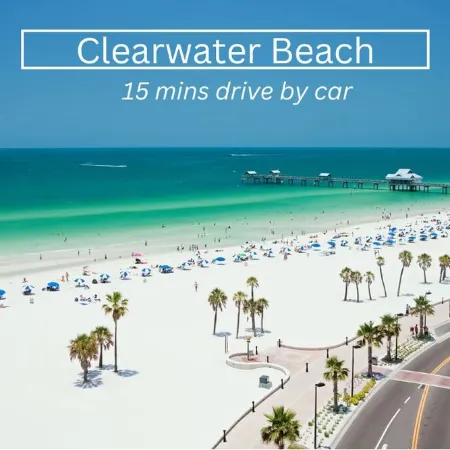 Walk to dwnt/7min to beach/king bed/Free parking