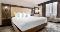 Comfort Inn Hotel a Brooklyn Park
