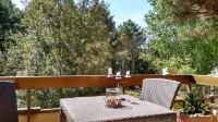 300 mt from the sea, terrace in the green in Viareggio.