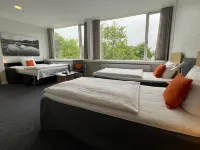 VINGSTED hotel & konferencecenter Hotels in Bredsten