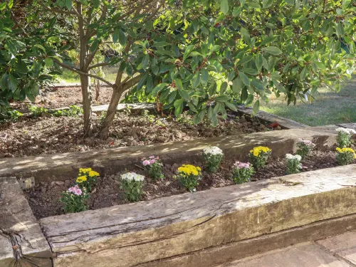 Albies End Hotels in Battle