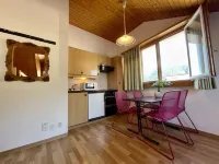 Central Beauty Scenery Apartment