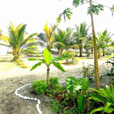 Seaside Garden Lodge Mompiche Hotel Exterior