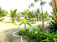 Seaside Garden Lodge Mompiche