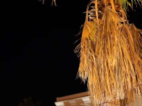 La Cuarteria Hotel Boutique Hoteles en Mocorito