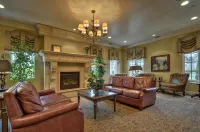Arden Hills - Wifi
