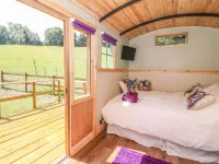 Railway Carriage Hotels in 