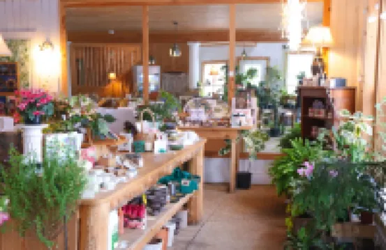 Unique Coastal Maine Flower Farm Stay