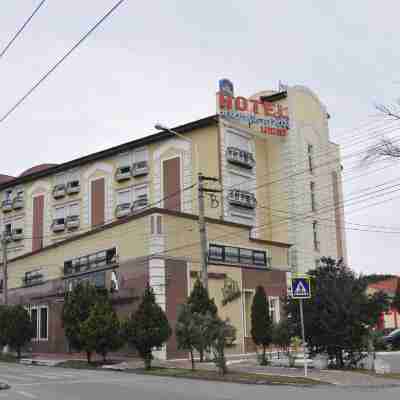 Ambassador Hotel Hotel Exterior