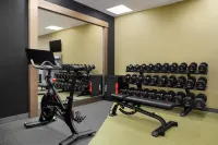 Hilton Garden Inn Riverhead - Træningscentre