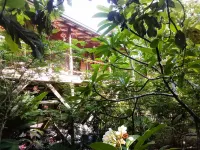 Treetop Cottage Escape in Tropical Garden Near San Ignacio Hotels in 