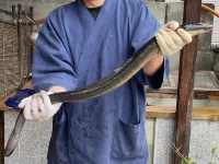 Yoichi Hotels in Minamiyamashiro