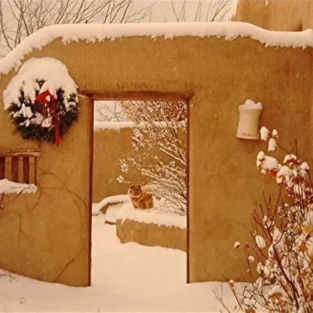 Beautiful Mountain Views, Beamed Ceilings, 2 Fireplaces