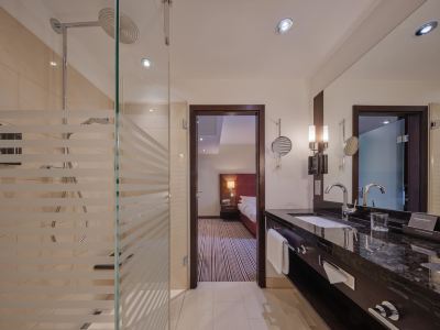 その他 シュタイゲンベルガー グラフ ツェッペリンの写真