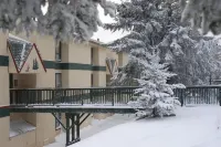 Best Deal in Almost Heaven!! Hotels in Snowshoe