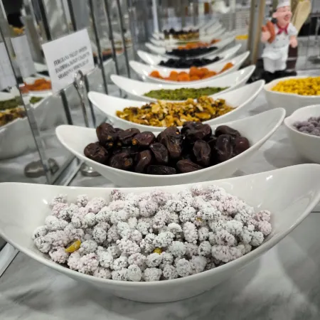 Saroy Gardens Hotel