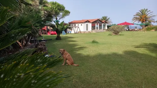 Quiet luxury beachfront Suites in Kalo Nero Beach with spectacular ocean views Các khách sạn ở Trifillia