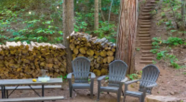 Creek Cabin - Fly-in Acres Lake Access - private Creek access with fire pit