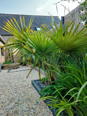 Maison de Ville Avec Jardin Privatif Hôtels à : Plancoët