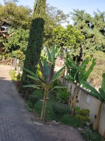 Chic 2-bedroom with WiFi and AC in marvelous Arusha