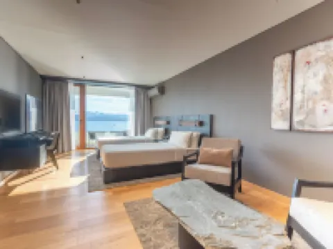 麗笙藍標巴里洛切 巴里洛切縣酒店