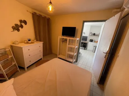 Mas 6/7 pers Air-conditioned; Garden; Swimming pool 5 min beach Barcares ILE DES PECHEURS