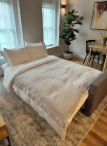 Modern One Bedroom Apartment in the Heart of Downtown Ann Arbor