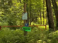 Hot Tub Nights & Northwoods Adventures at Paraiso Acres!