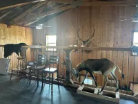 Zeke’s Retreat – Hunter’s Getaway with On-Site Taxidermy Shop