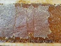 Frutti Antichi farmhouse - Pomegranate, a step away from the sea and the city center