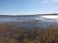 3-bedroom house in welcoming Walker with AC, WiFi, dock, kinda private. 슁고비 타운십 호텔