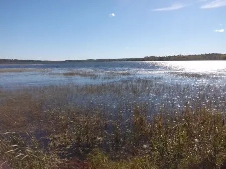 3-bedroom house in welcoming Walker with AC, WiFi, dock, kinda private.