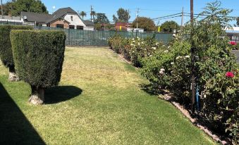 Maple Inn and Suites Los Banos