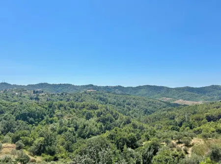 Ishëm Greenview Apartments Отели рядом с достопримечательностью «Bay of Lalzi»