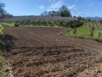 Charming Tuscan Home with Pool near Lucca