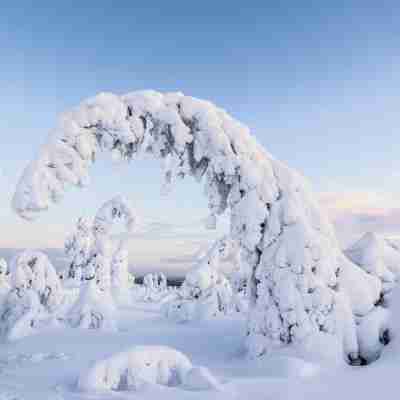 Postmaster Hotel Others