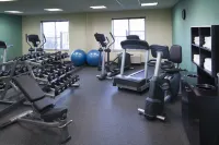 Holiday Inn Express & Suites HIGH POINT SOUTH by IHG - Gym