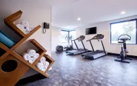 Holiday Inn Express SYDNEY MACQUARIE PARK by IHG - Gym