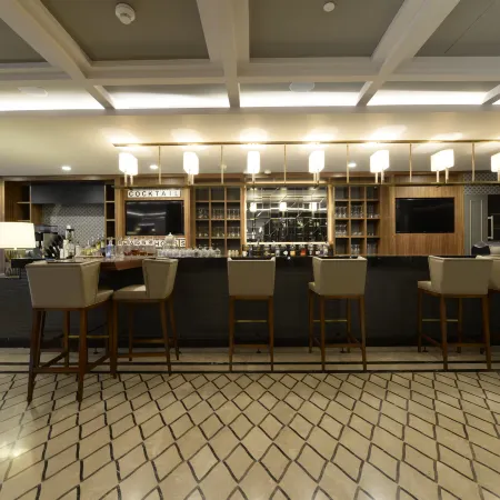 Holiday Inn BURSA - CITY CENTRE by IHG